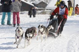 Lenk 2012 SM